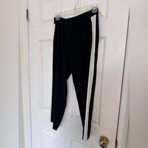 Aritzia Babaton Side Striped Dress Pants